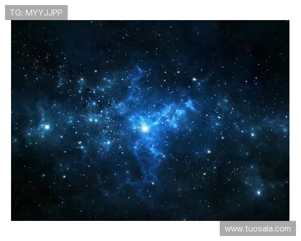 官方正版星空软件下载入口，提供最新版本校园、个人用户全面支持